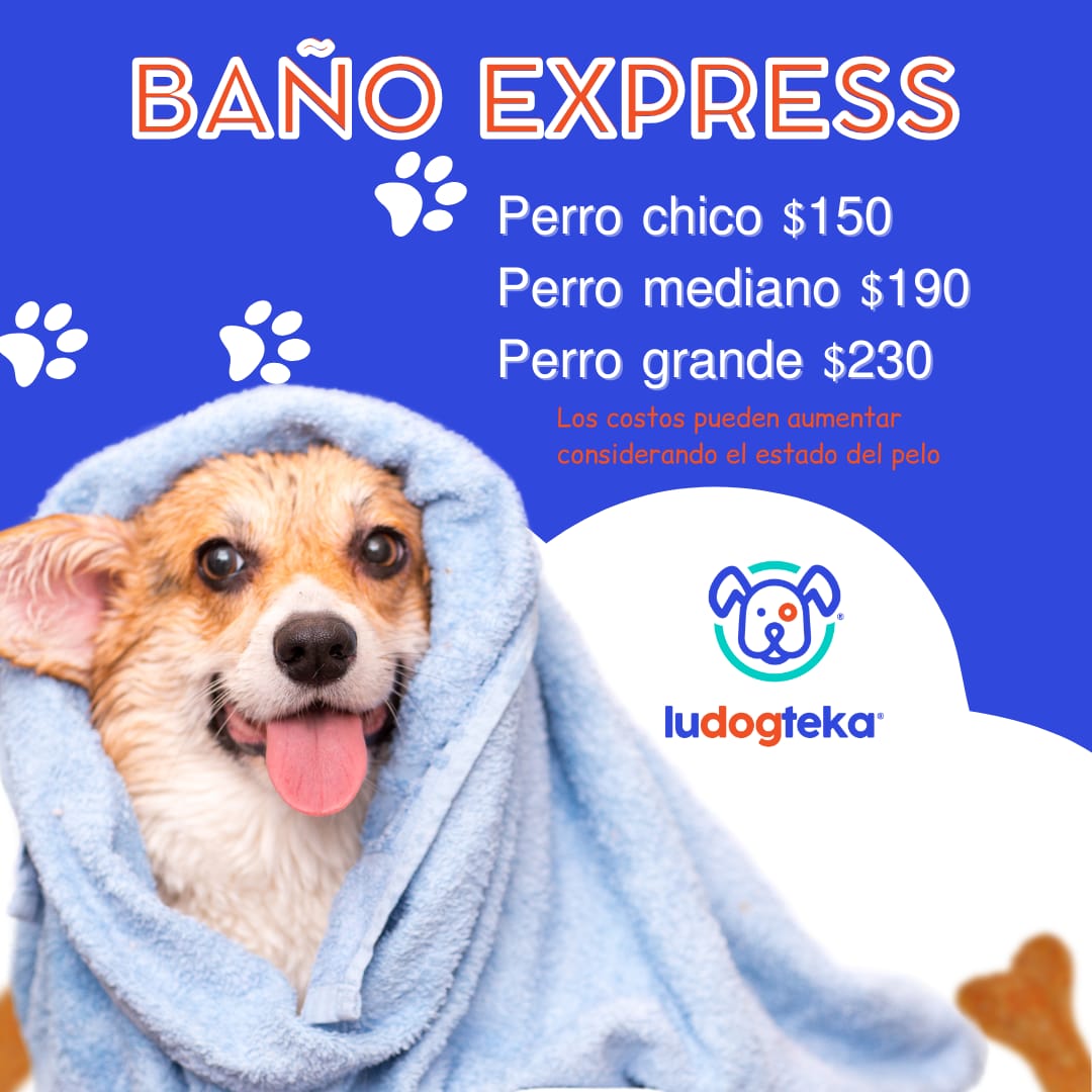 Baño Expréss TallaG Pelo corto